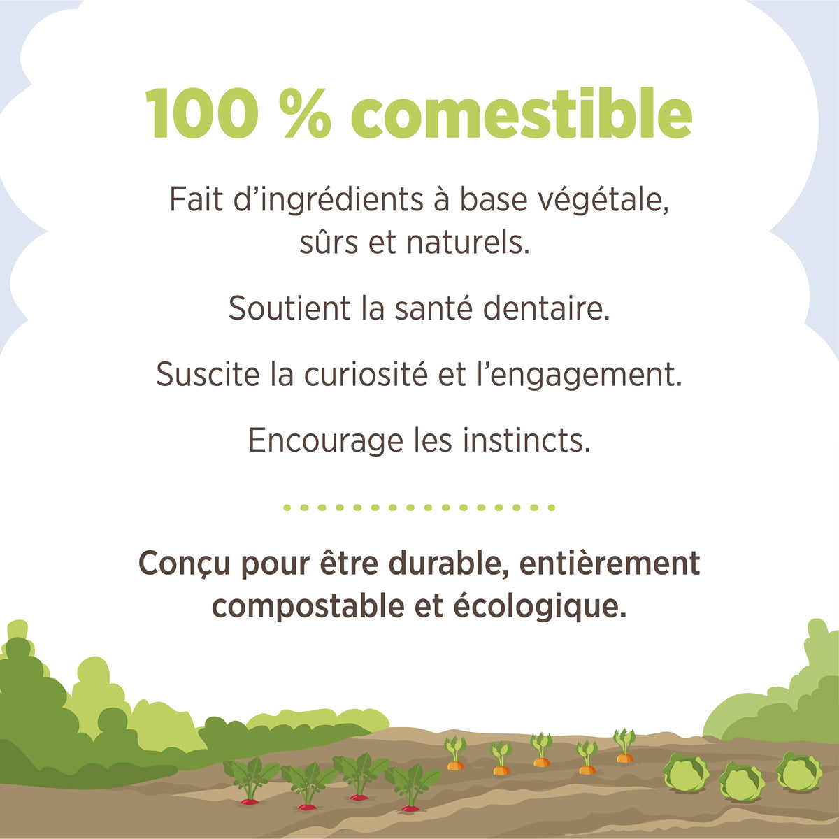 Jouet à mâcher comestible Living World, Lit de carottes, multicolore, 140 g (4,9 oz) - La niche&amp;moi