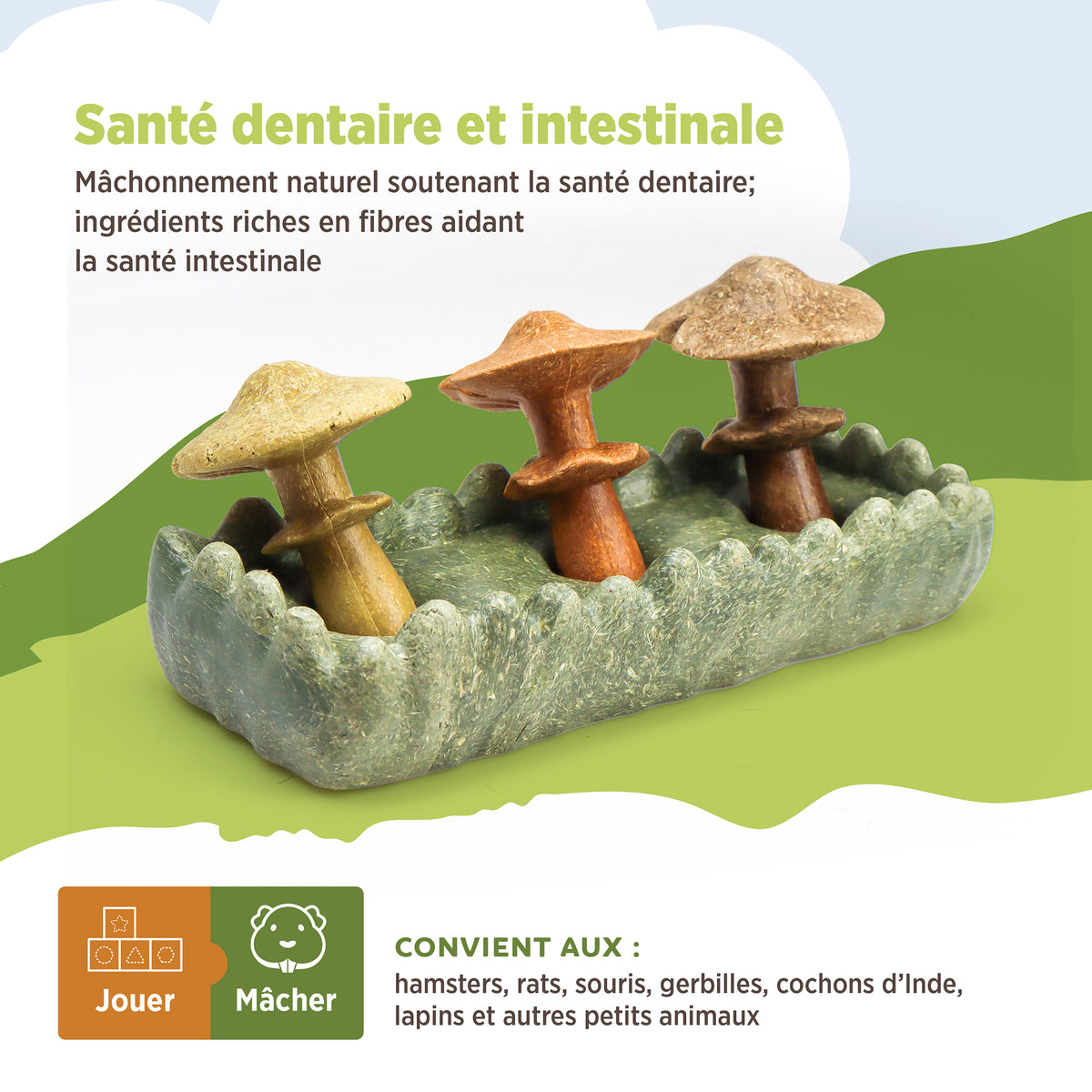 Jouet à mâcher comestible Living World, Parcelle de champignons, multicolore, 170 g (5,9 oz) - La niche&amp;moi