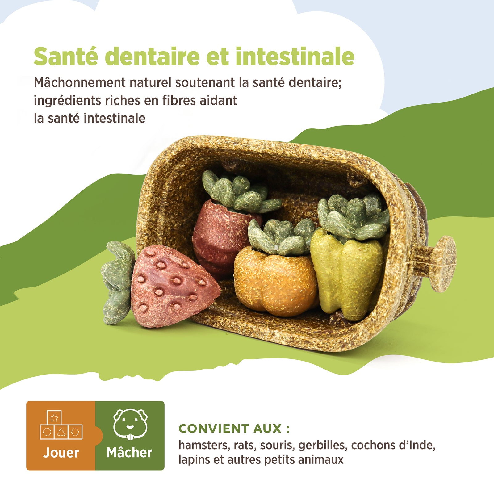 Jouet à mâcher comestible Living World, Panier de récolte, multicolore, 158 g (5,5 oz) - La niche&moi