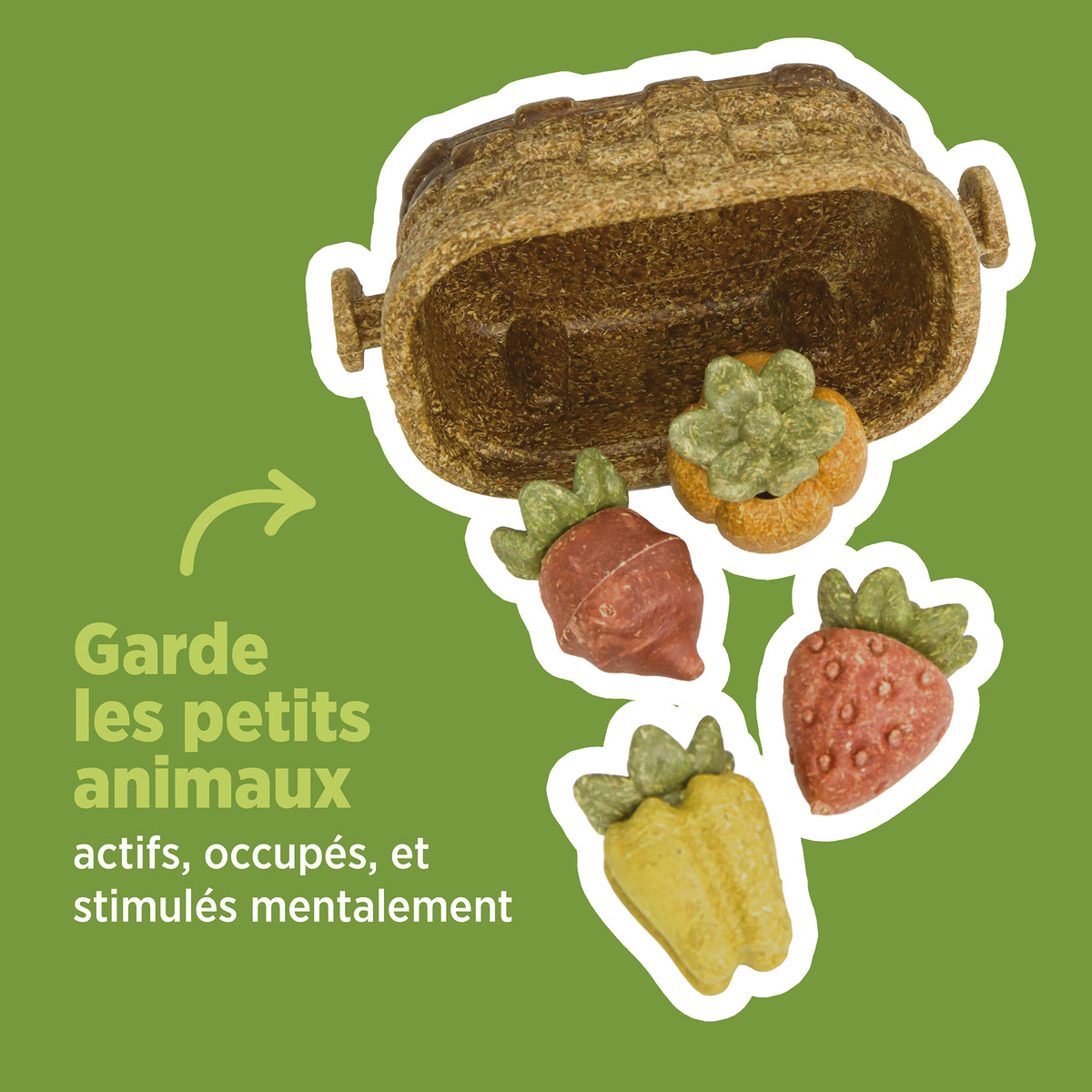 Jouet à mâcher comestible Living World, Panier de récolte, multicolore, 158 g (5,5 oz) - La niche&amp;moi