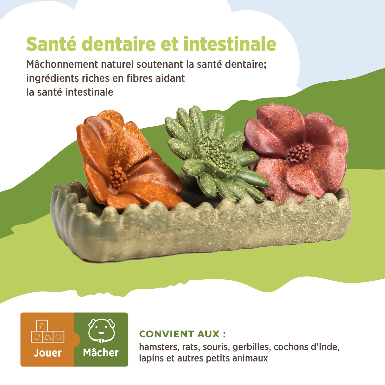 Jouet à mâcher comestible Living World, Lit de fleurs, multicolore, 150 g (5,2 oz) - La niche&moi