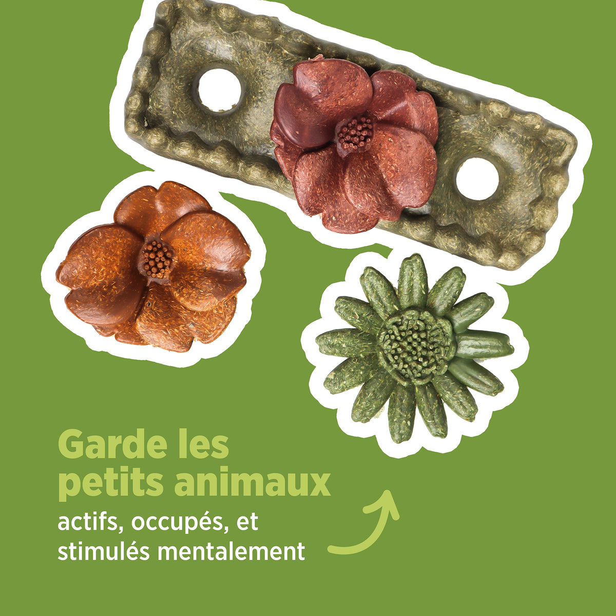 Jouet à mâcher comestible Living World, Lit de fleurs, multicolore, 150 g (5,2 oz) - La niche&amp;moi