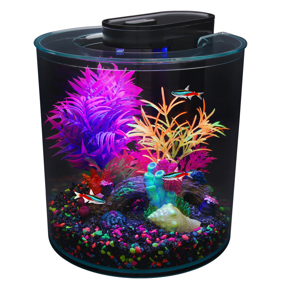 Aquarium équipé 360 iGlo Marina, 10 L (2,65 gal US) - La niche&amp;moi