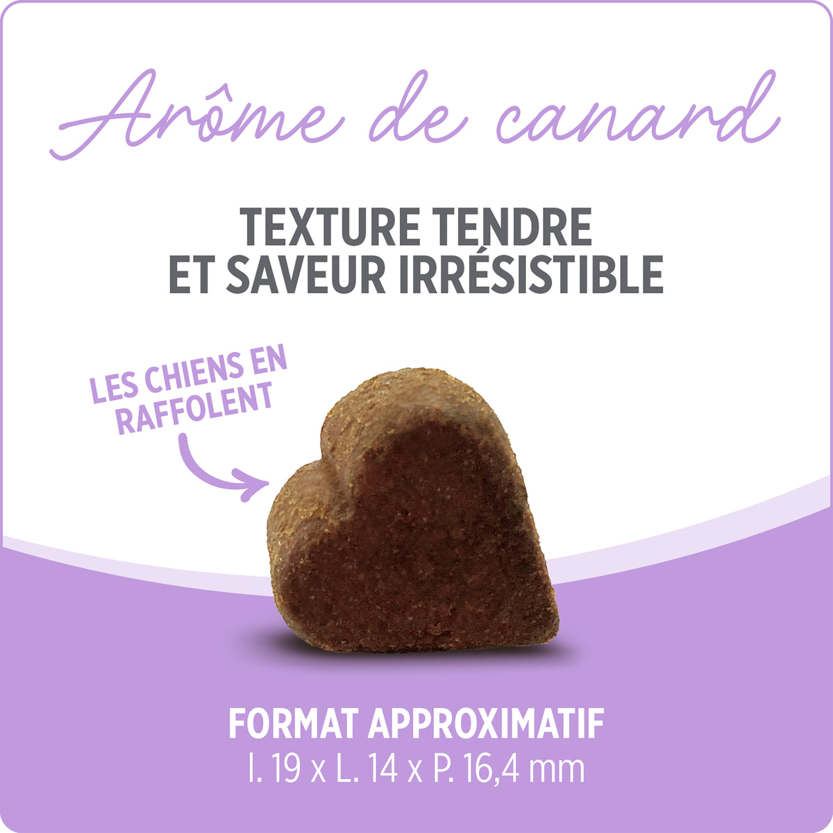 Suppléments Nutrience Care pour chiens, Hanches et articulations, 100 bouchées tendres, 400 g - La niche&amp;moi