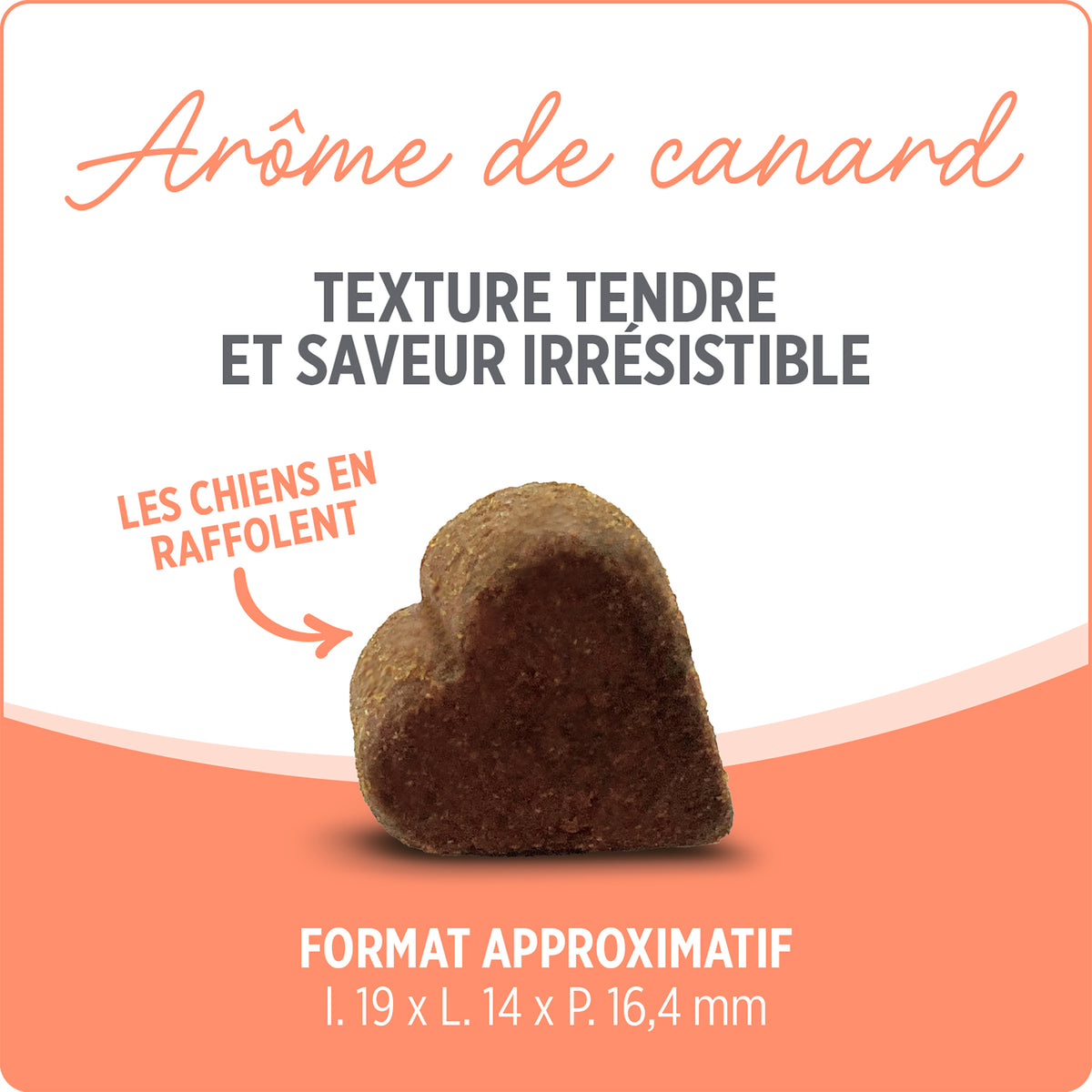 Suppléments Nutrience Care pour chiens, Probiotique+, 100 bouchées tendres, 400 g - La niche&amp;moi