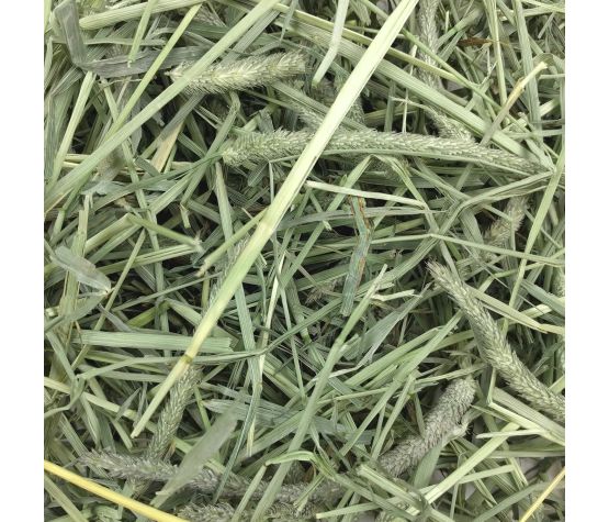 Oxbow Foin Timothy Occidental 15oz - La niche&amp;moi