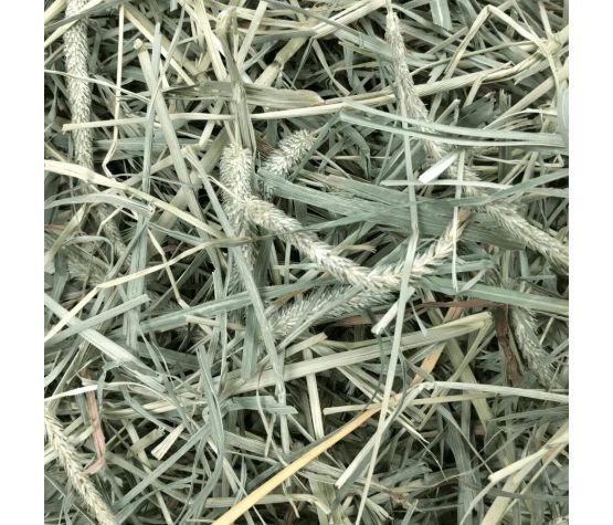 Oxbow Mélange De Foin Timothy Occidental Et De Verger 40oz - La niche&amp;moi