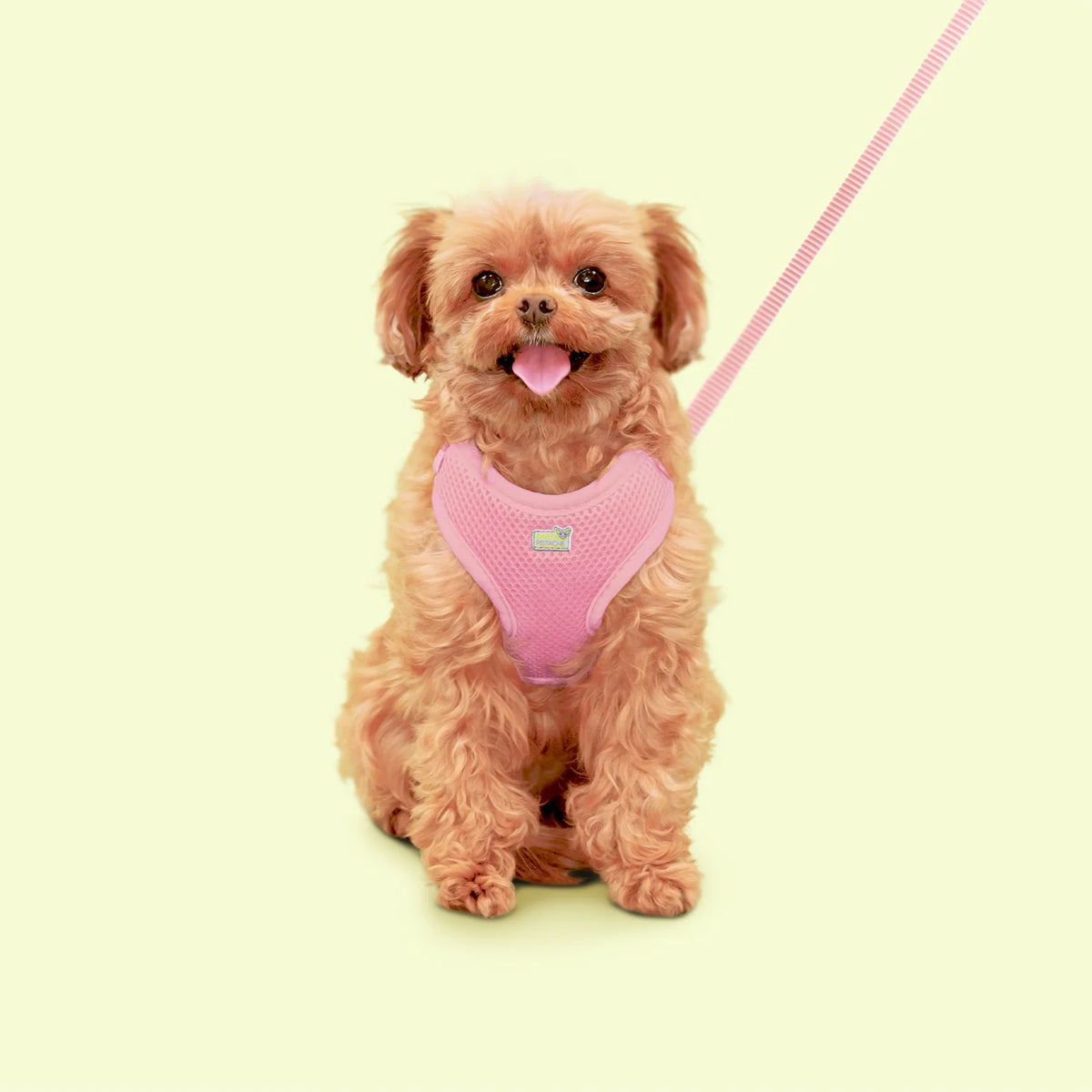 Harnais en maille Petite Pistache pour très petits chiens Rose 3XS - La niche&amp;moi