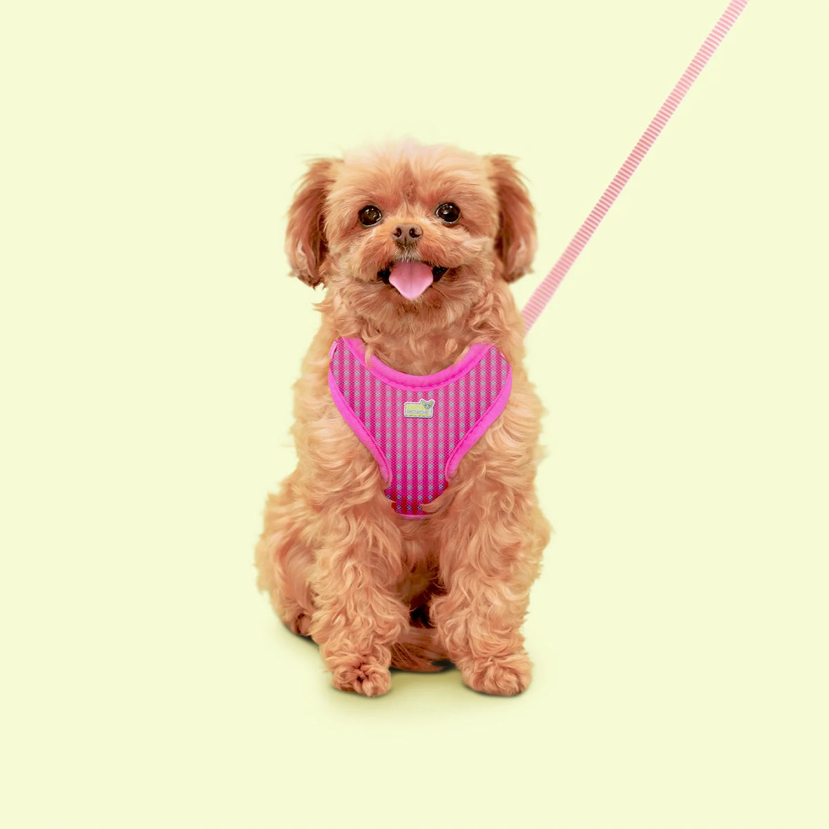 Harnais réglable Petite Pistache pour très petits chiens 3XS - La niche&amp;moi