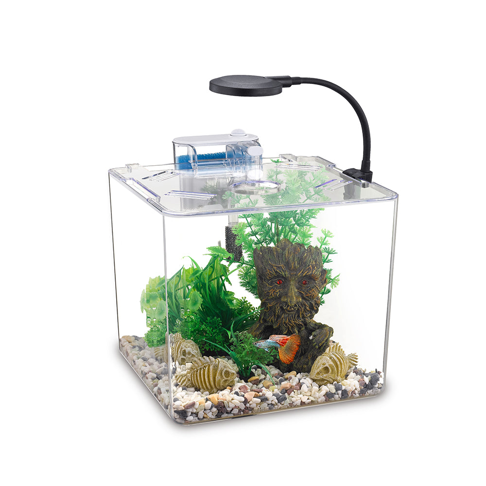 NUBIOS Aquarium Équipé à Betta Carré 1.32 GL - La niche&amp;moi