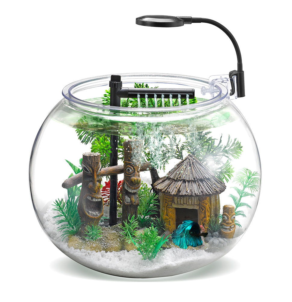 NUBIOS Aquarium Équipé à Betta 12L - La niche&amp;moi