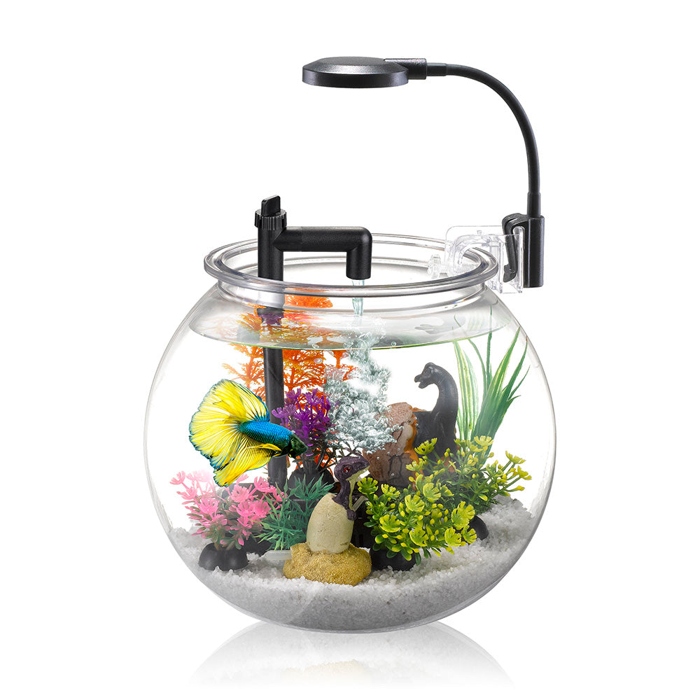 NUBIOS Aquarium Équipé à Betta 4L - La niche&amp;moi