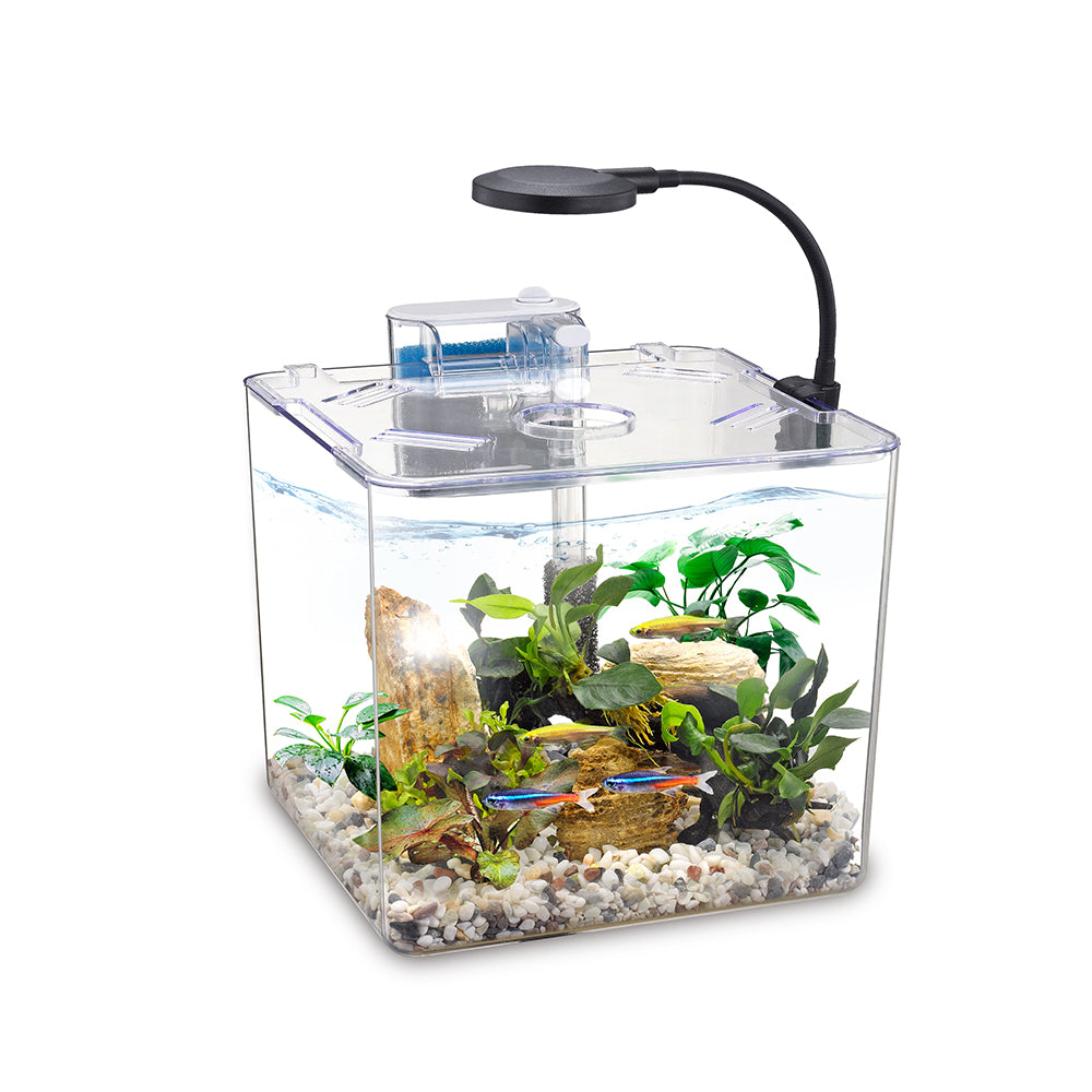 NUBIOS Aquarium Équipé à Betta Carré 3g - La niche&amp;moi