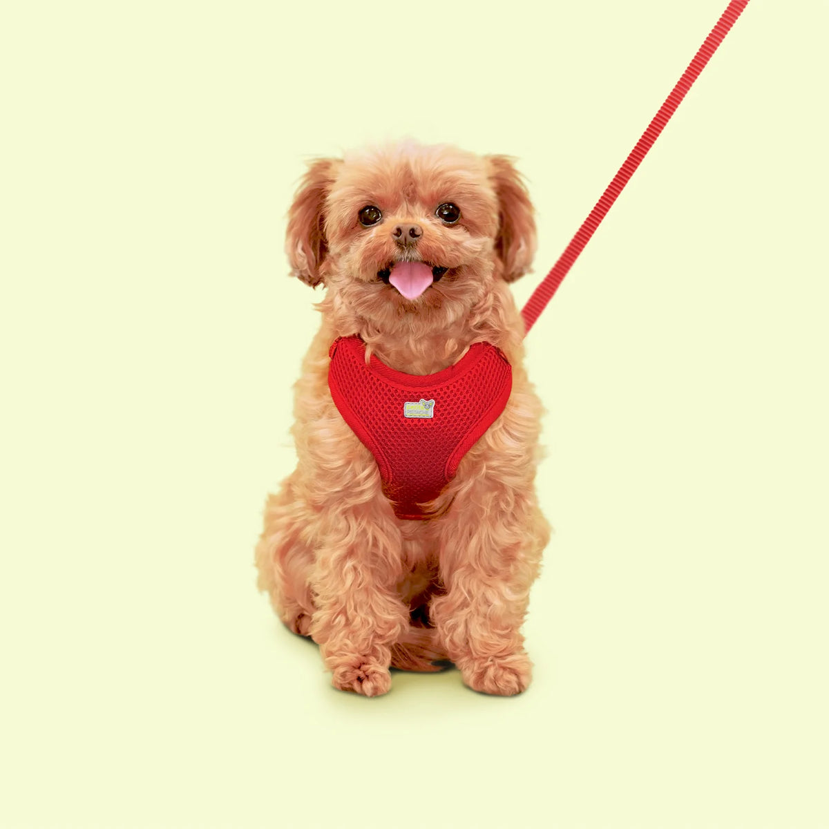 Harnais en maille Petite Pistache pour très petits chiens Rouge 3XS - La niche&amp;moi