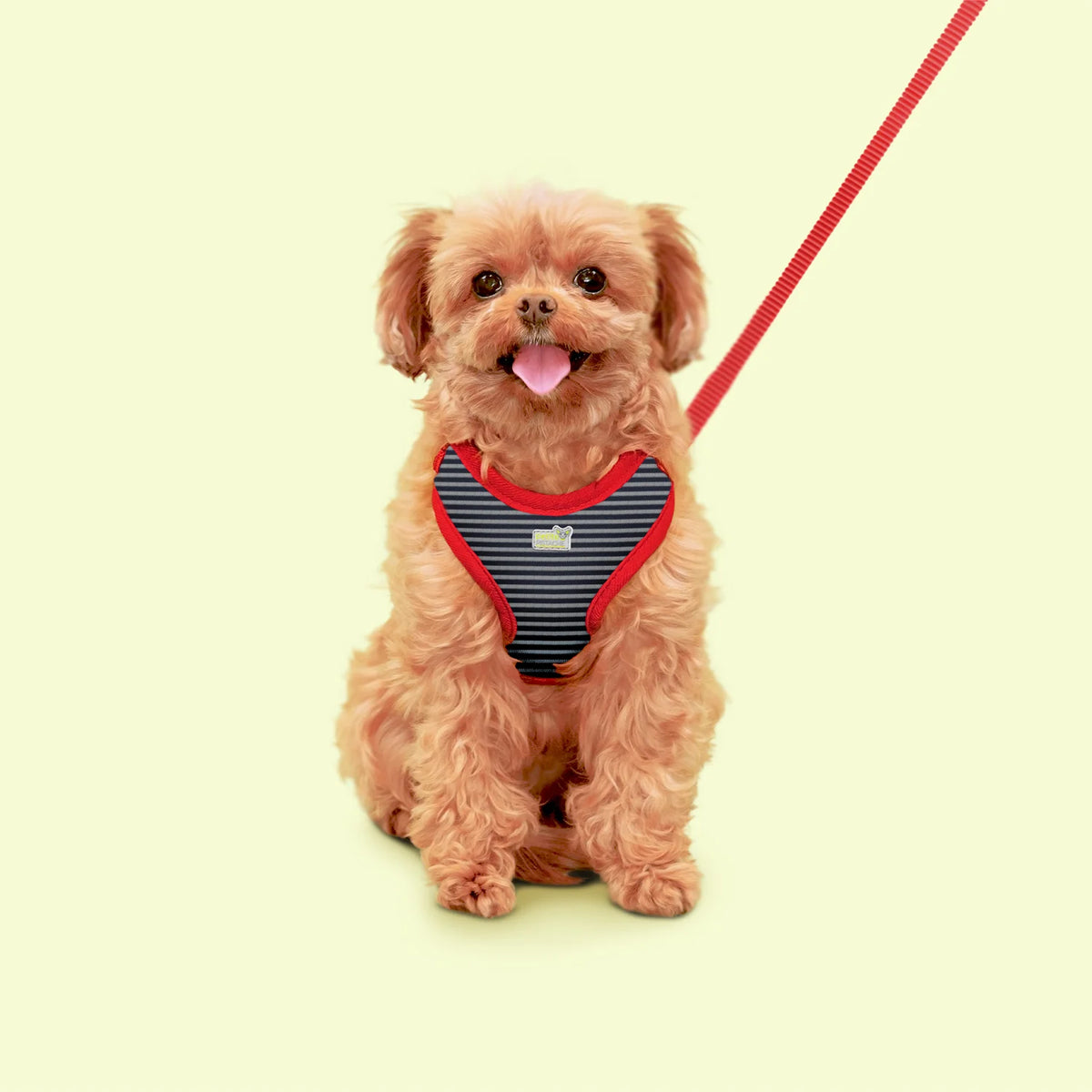 Harnais réglable Petite Pistache pour très petits chiens XS - La niche&amp;moi