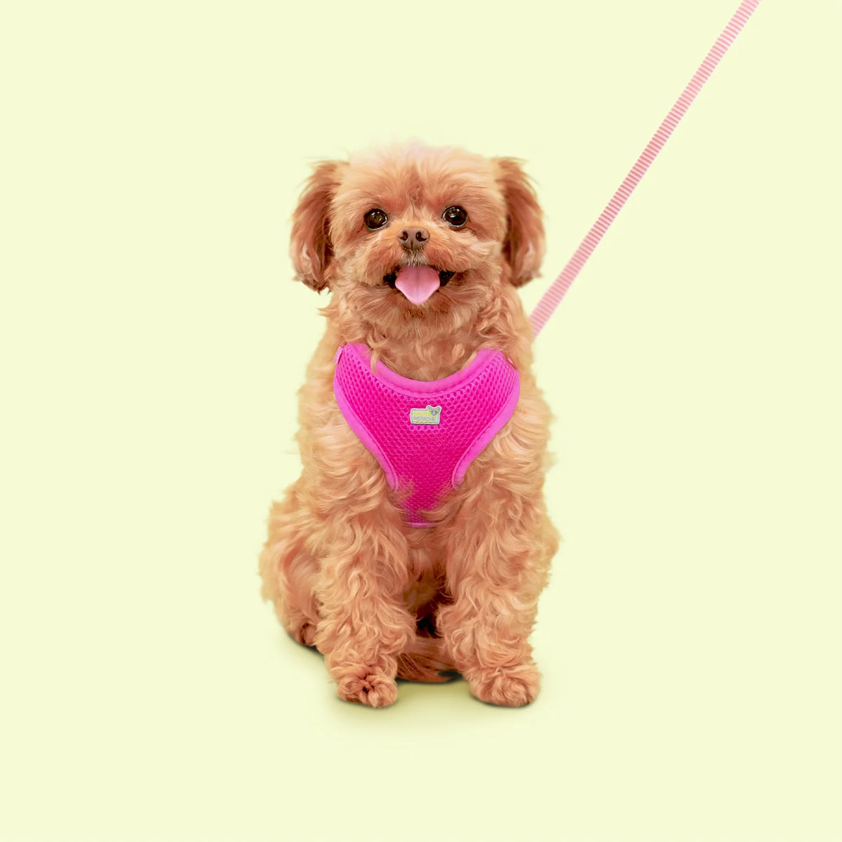 Harnais en maille Petite Pistache pour très petits chiens Fushia 3XS - La niche&amp;moi