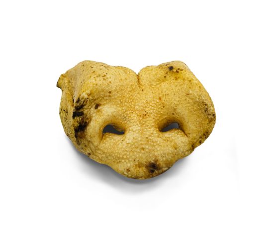 Wawwaw Nez De Porc Pour Chien - La niche&amp;moi