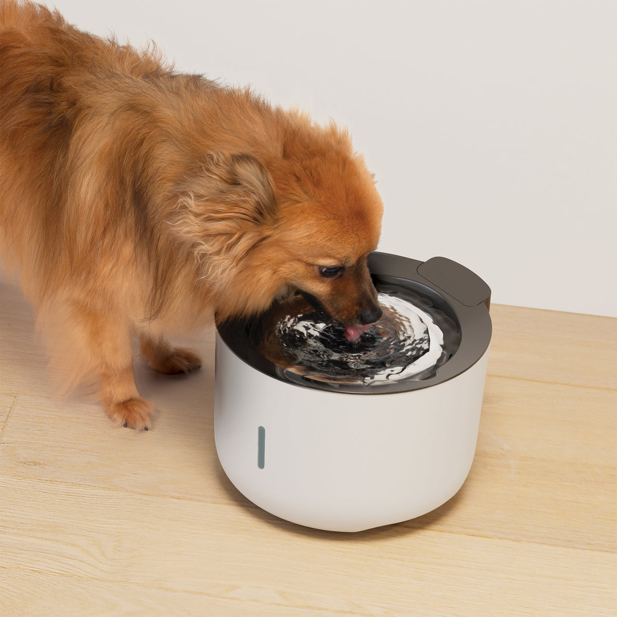 Abreuvoir Zeus Oasis, gris pâle, 3 L (100 oz liq.) - La niche&amp;moi