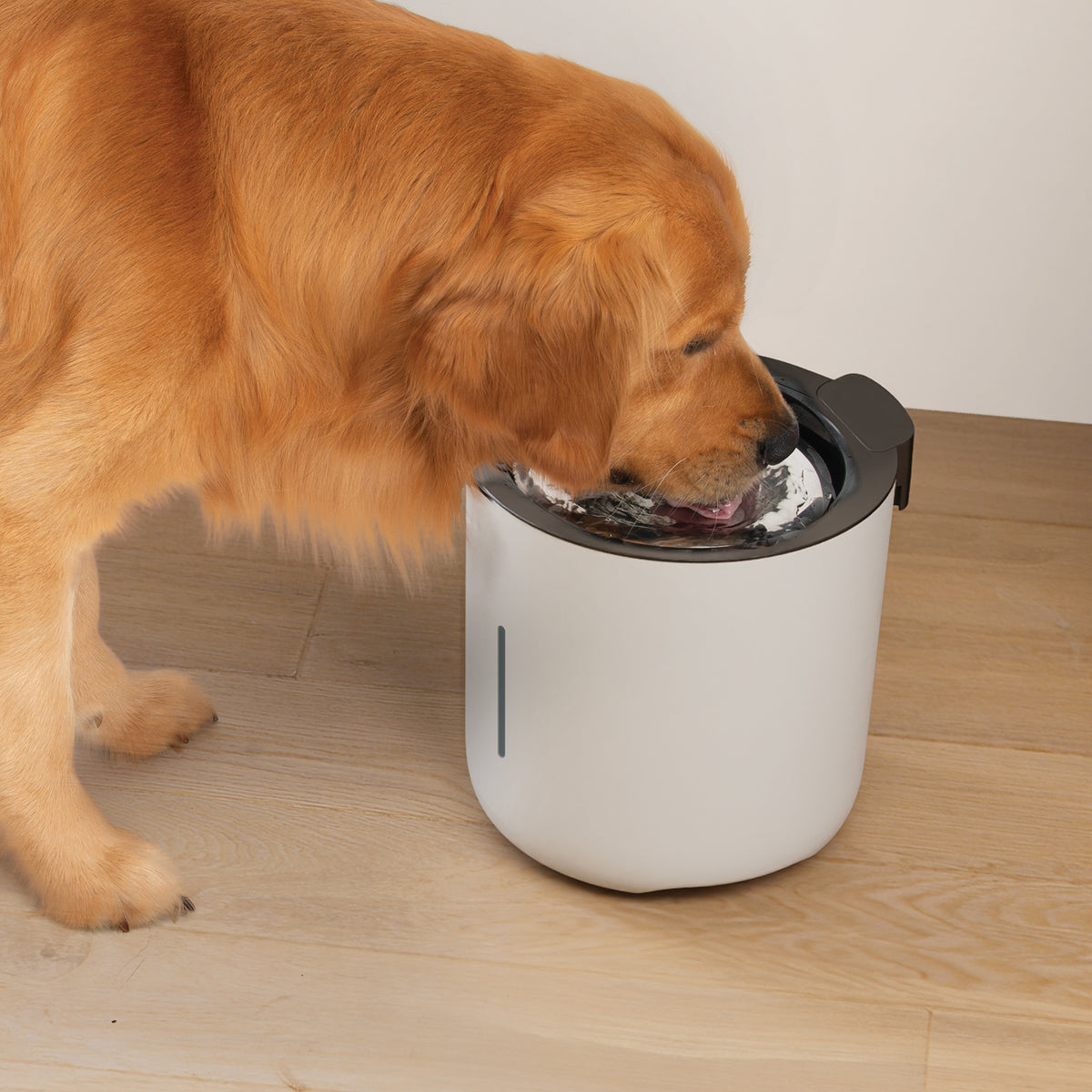 Abreuvoir Zeus Oasis, gris pâle, 6 L (200 oz liq.) - La niche&amp;moi