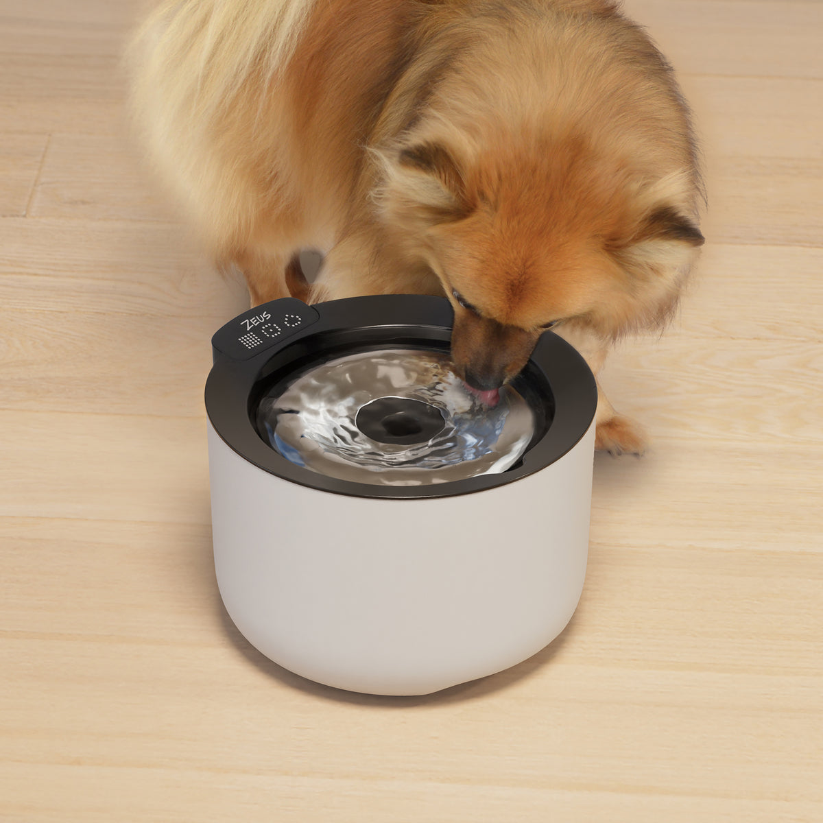 Abreuvoir intelligent Zeus Oasis Plus, 3 L - La niche&amp;moi