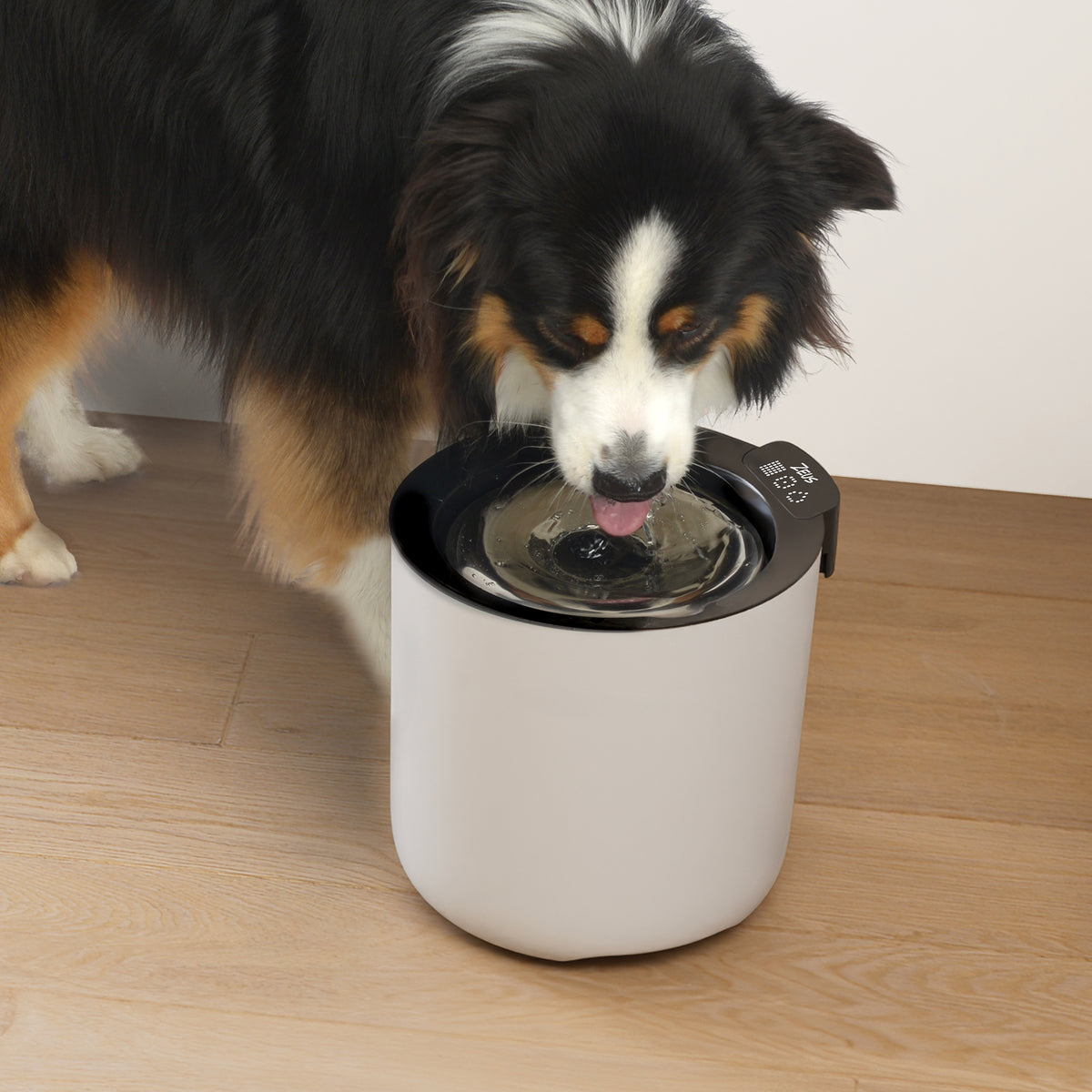 Abreuvoir intelligent Zeus Oasis Plus, 6 L (200 oz liq.) - La niche&amp;moi