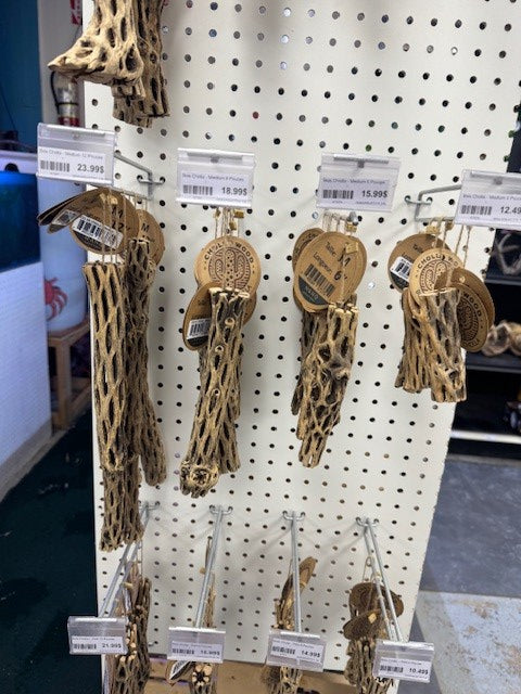 Bois Cholla - Medium 12 Pouces - 1'' à 1'' 1/4 Diamètre