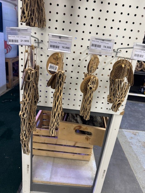 Bois Cholla - Petit 12 Pouces  - Diamètre <1''