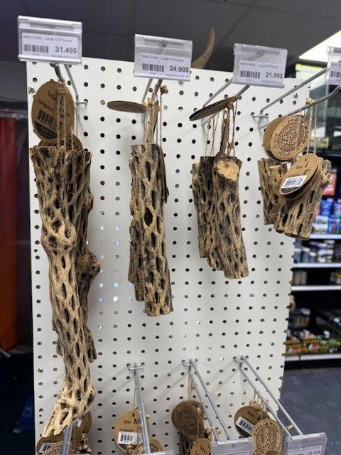 Cholla Wood - Large 12 Inches - 1'' 1/4 to 1'' 1/2 Diameter