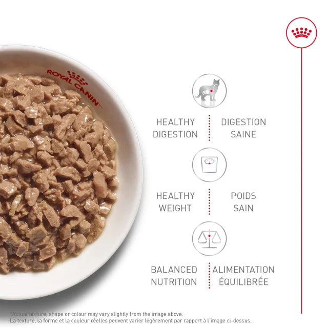 Royal Canin Soin Digestif 145g - La niche&amp;moi