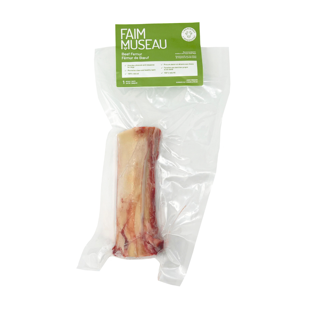 Fémur de Bœuf - La niche&moi