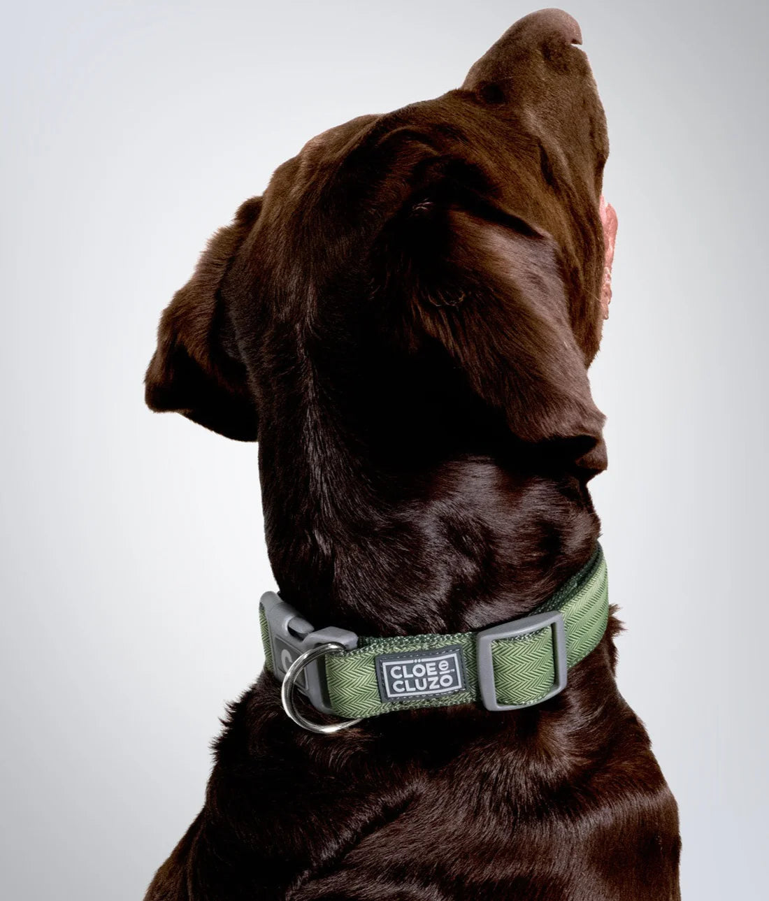 Collier Ajustable Cloe &amp; Cluzo VERT XS - La niche&amp;moi