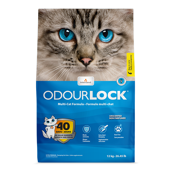 Intersand Odourlock Litière Agglomérante Non Parfumée 12 Kg