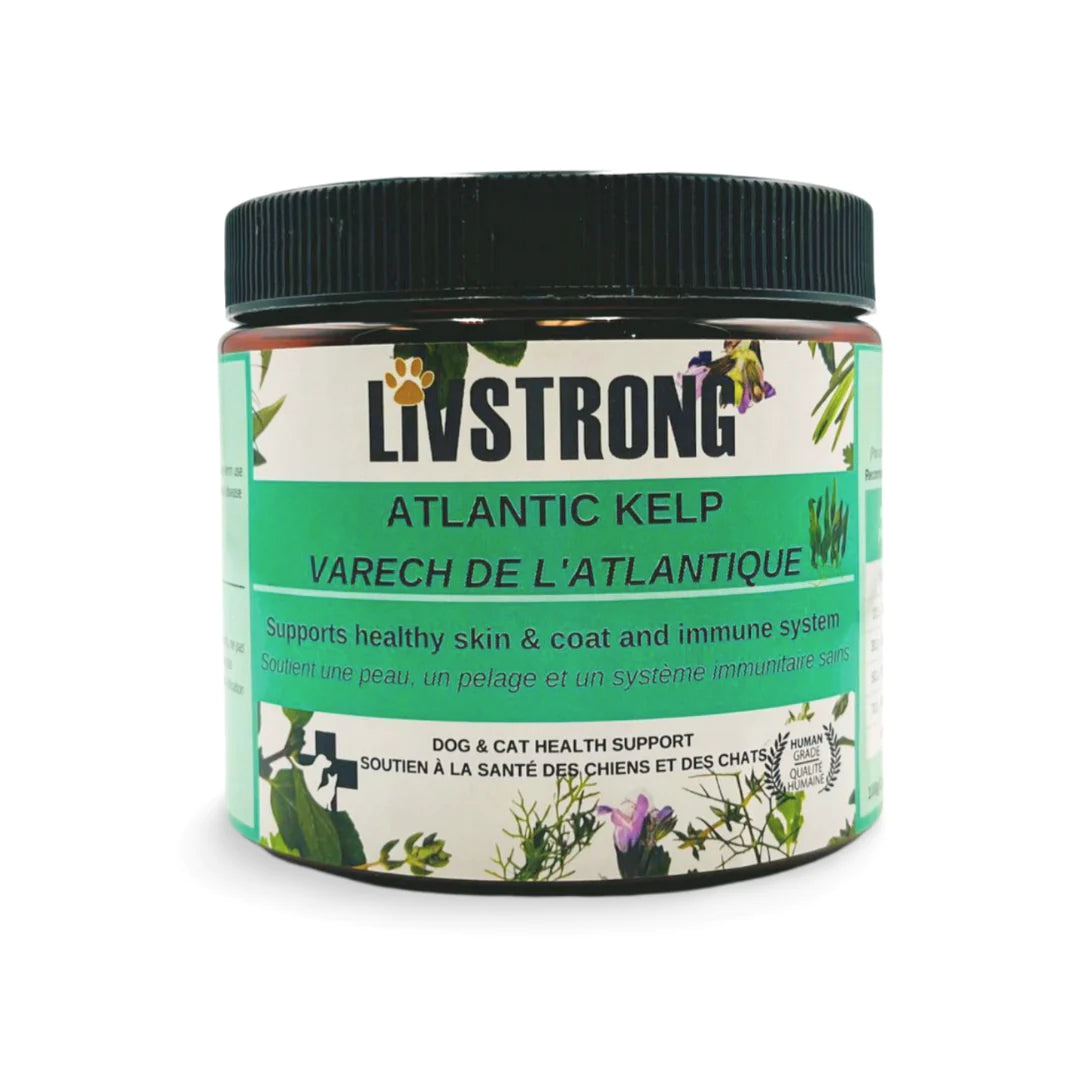 Livstrong Varech de L’Atlantique 100g - La niche&moi