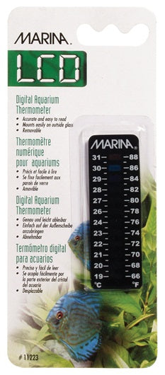 Thermomètre numérique à cristaux liquides Marina, de 19 à 31 °C (de 66 à 88 °F) - La niche&moi