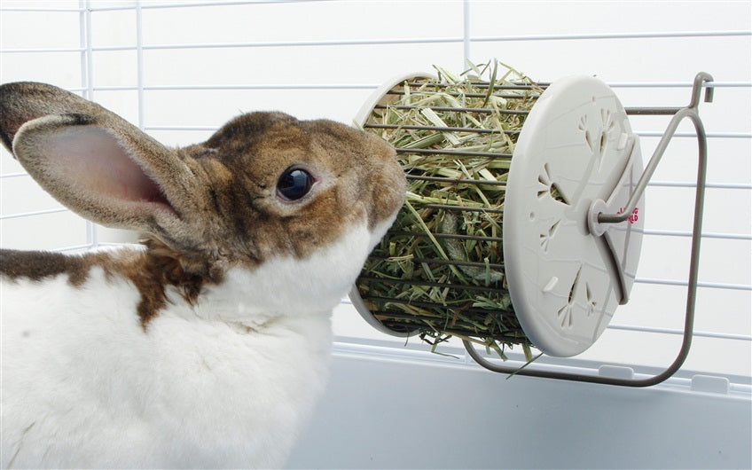 Roue à foin Living World , L. 13 X l. 13 X H. 15 cm (5,1 x 5,1 x 7 po) - La niche&amp;moi