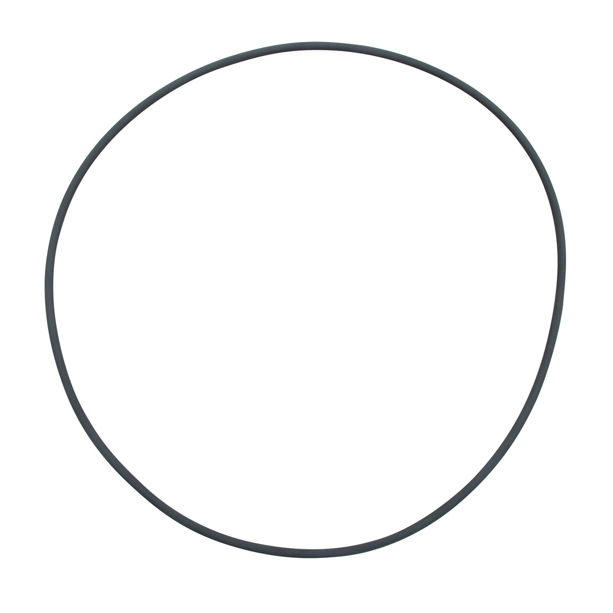 Joint torique pour couvercle des filtres FX5 et FX6 Fluval - La niche&amp;moi