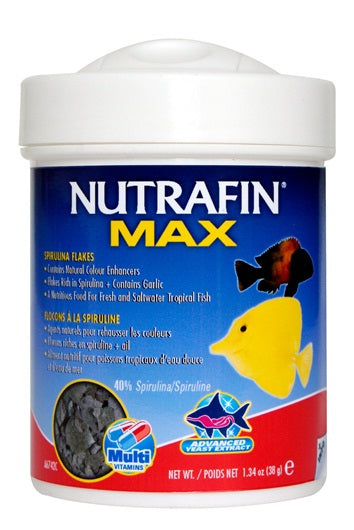 Flocons Nutrafin Max à la spiruline pour poissons tropicaux