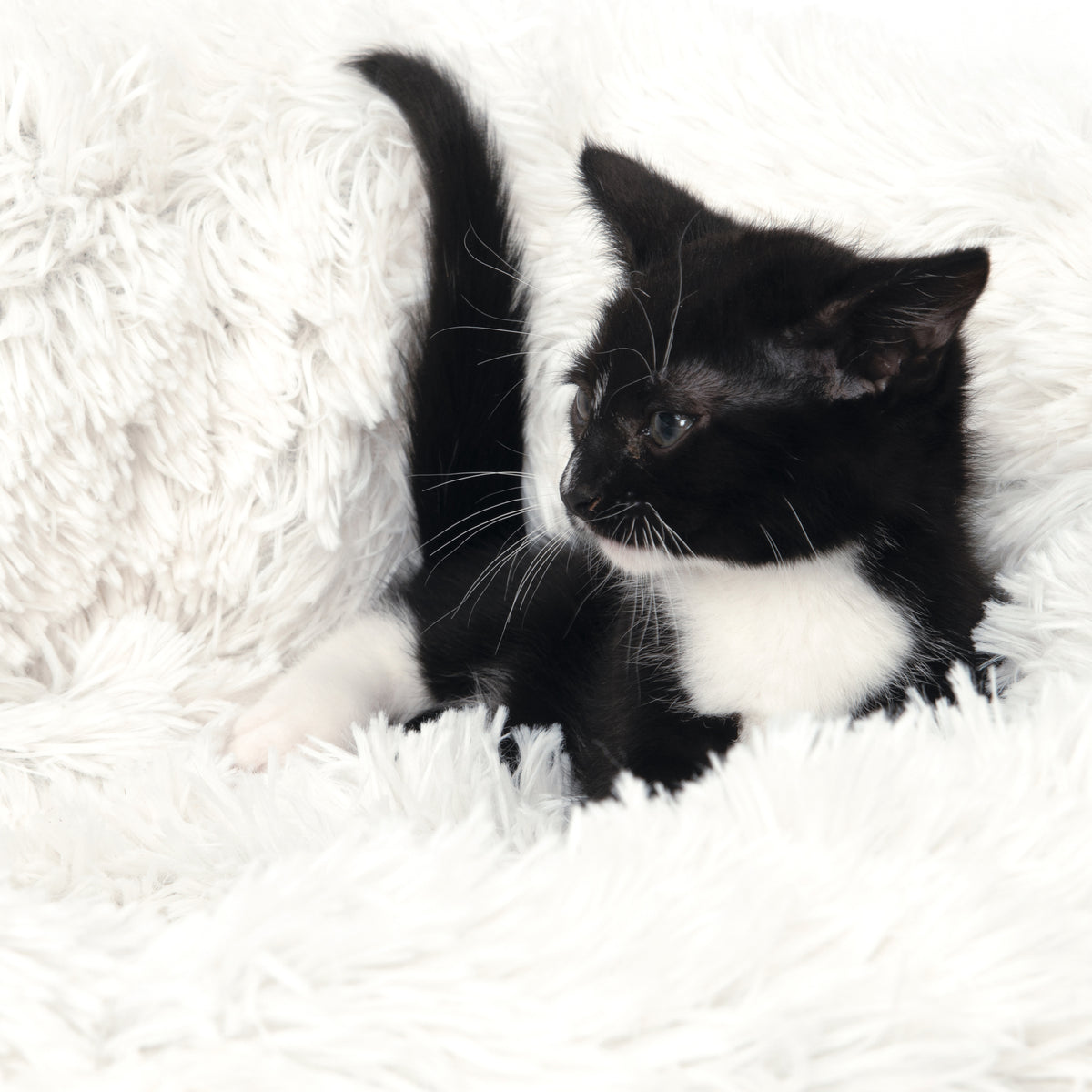 Lit moelleux Catit, blanc, diam. 60 cm (20 po) - La niche&amp;moi