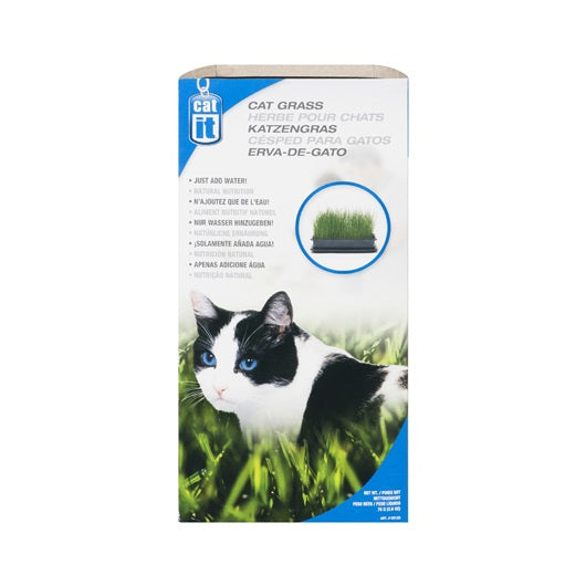 Herbe Catit pour chats, 85 g (3 oz) - La niche&amp;moi