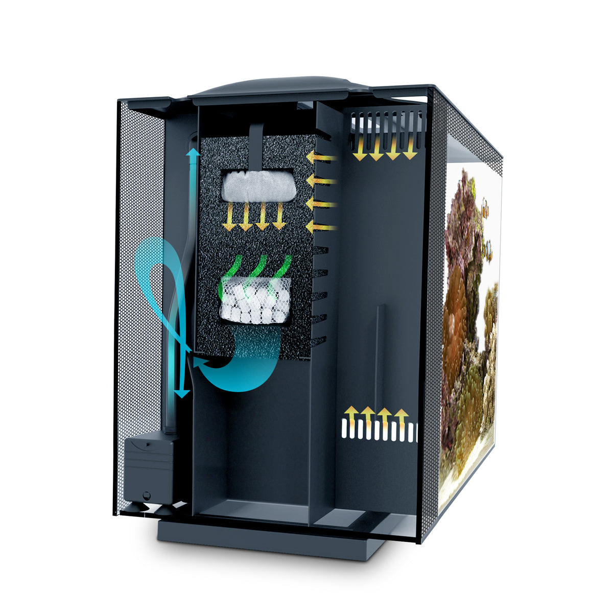 Aquarium équipé SPEC Fluval, noir, 60 L (16 gal US) - La niche&amp;moi