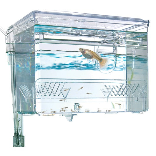 Bac à suspendre pour la reproduction Fluval, L. 16,5 x l. 12,5 x H. 12 cm (6,5 x 5 x 4,75 po) - La niche&amp;moi