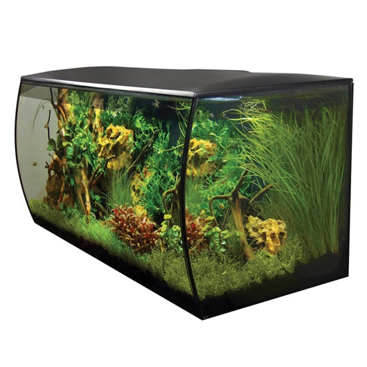 Aquarium équipé FLEX Fluval,123 L (32,5 gal US) - La niche&amp;moi