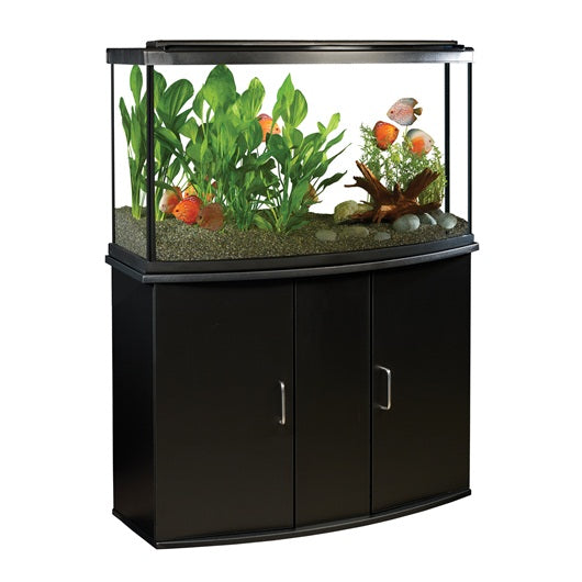 Aquarium équipé haut de gamme 45 Fluval à devant arrondi avec éclairage à DEL, 170 L (45 gal US) - La niche&amp;moi