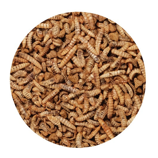 Gourmet Toppers Living World Green, Insectes, 125 g (4,4 oz) - La niche&amp;moi