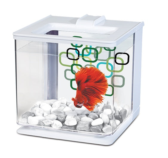 Aquarium équipé EZ Care Marina pour betta, blanc, 2,5 L (0,7 gal US) - La niche&moi