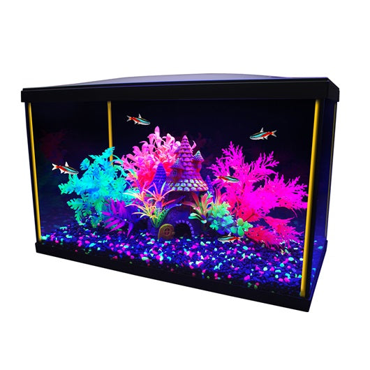 Aquarium équipé iGlo Marina, 19 L (5 gal US) - La niche&moi