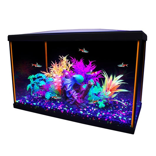 Aquarium équipé iGlo Marina, 38 L (10 gal US) - La niche&moi