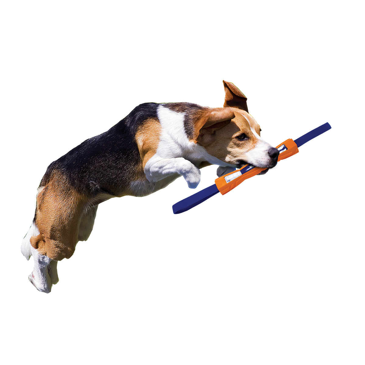 Bâton de compétition Megaton Nerf Dog, 30,5 cm (12 po) - La niche&amp;moi
