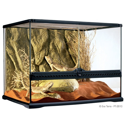 Terrarium en verre Exo Terra, moyen, large, 60 x 45 x 45 cm (24 x 18 x 18 po) (ramassage en magasin seulement)