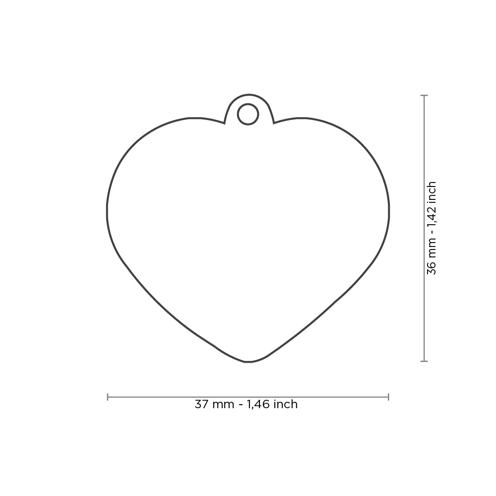 Médaille Coeur Arc-En-Ciel Large (inscription sur 1 côté seulement) - La niche&amp;moi